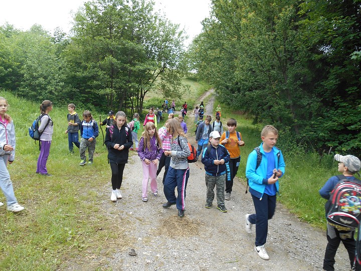 img00057.jpg