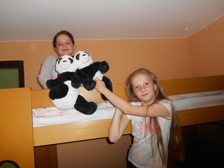 img00064.jpg
