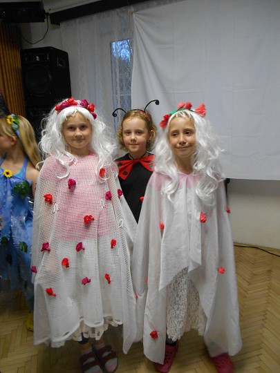 img00089.jpg