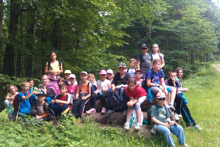 img00165.jpg