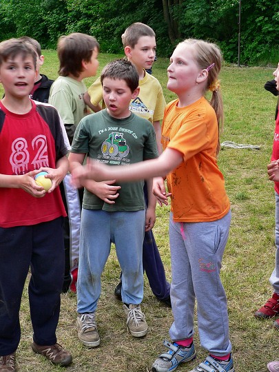 img00260.jpg