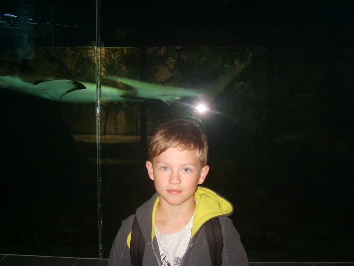 img00002.jpg