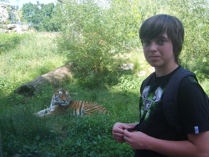 img00004.jpg