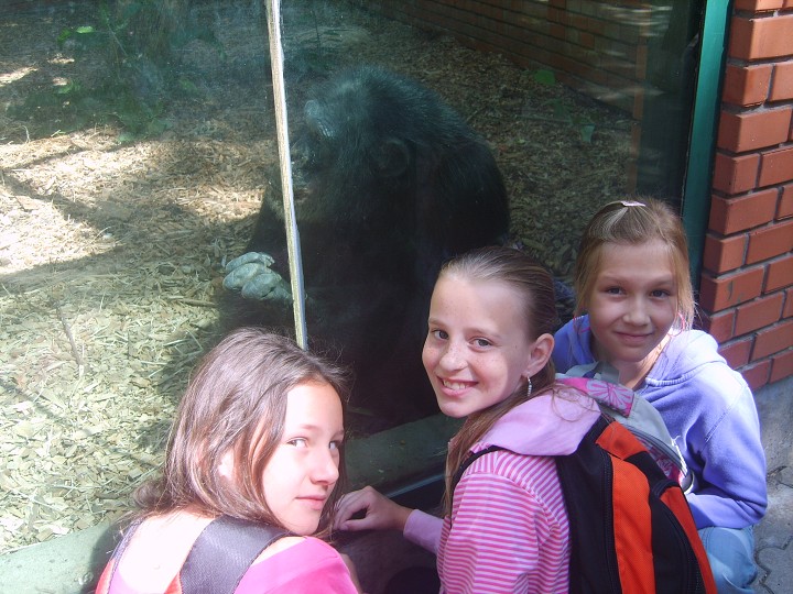 img00009.jpg
