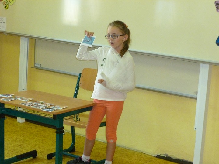 img00010.jpg