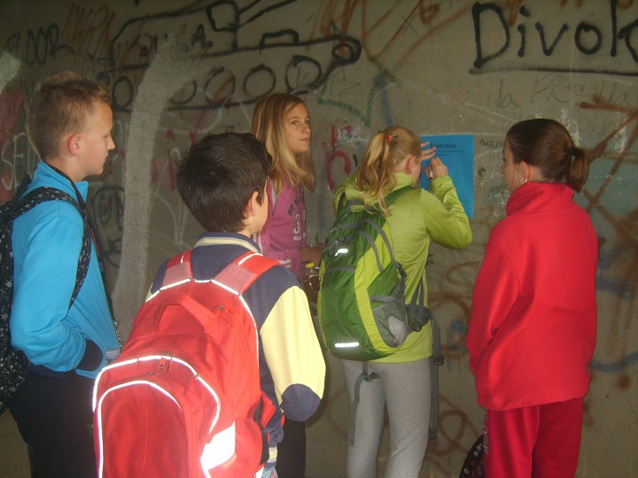 img00062.jpg