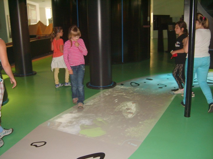 img00082.jpg