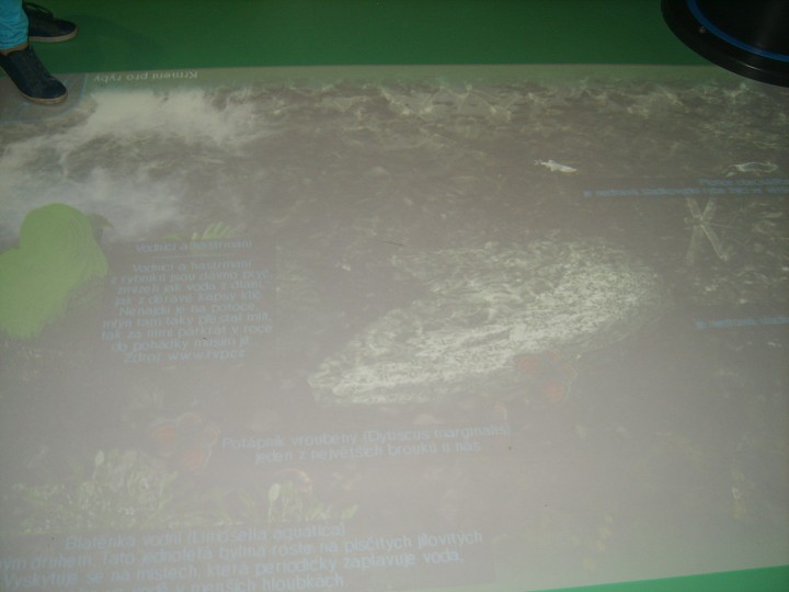 img00083.jpg