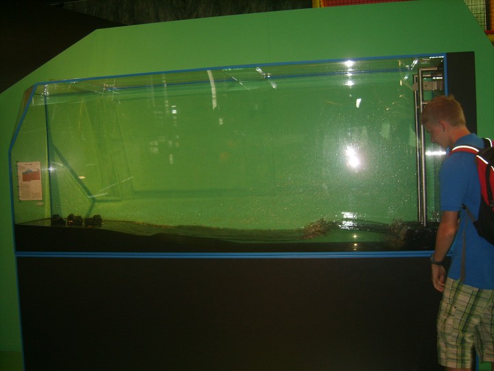 img00101.jpg