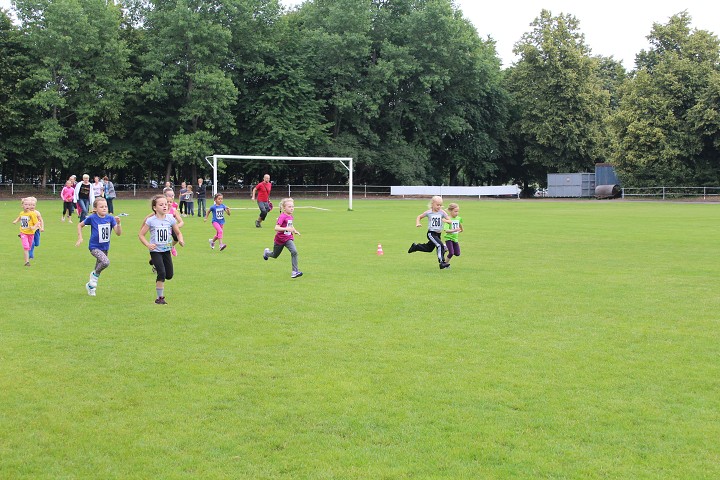 img00045.jpg