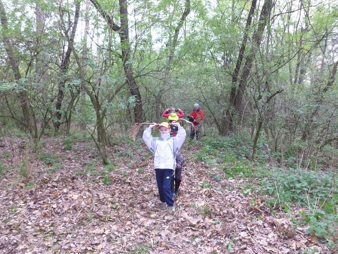 img00015.jpg