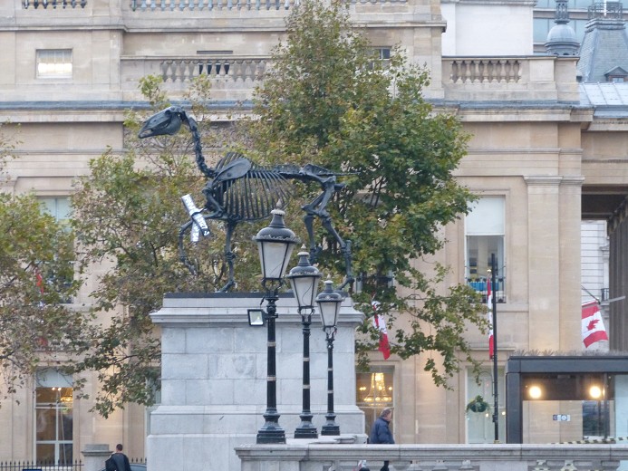 img00100.jpg