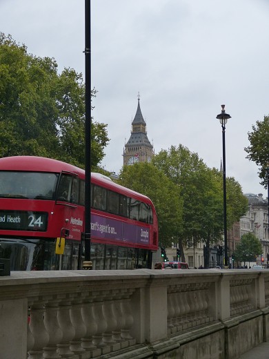 img00111.jpg