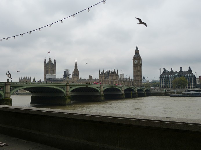img00131.jpg