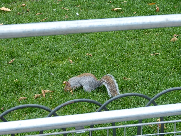 img00155.jpg