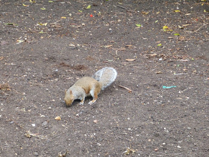 img00157.jpg
