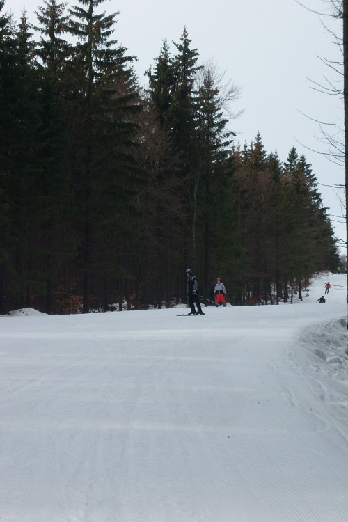 img00093.jpg