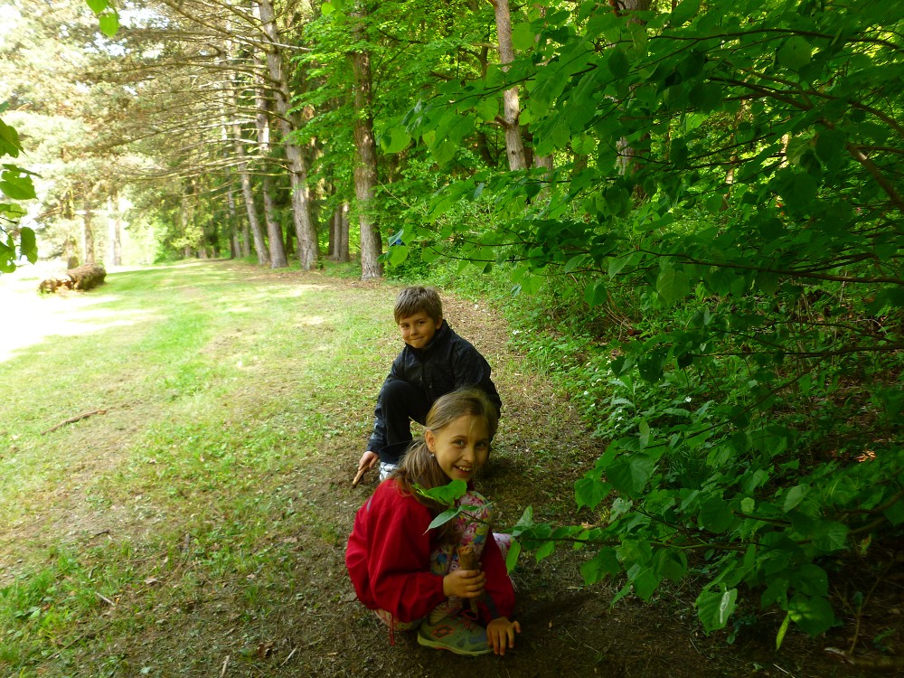 img00048.jpg