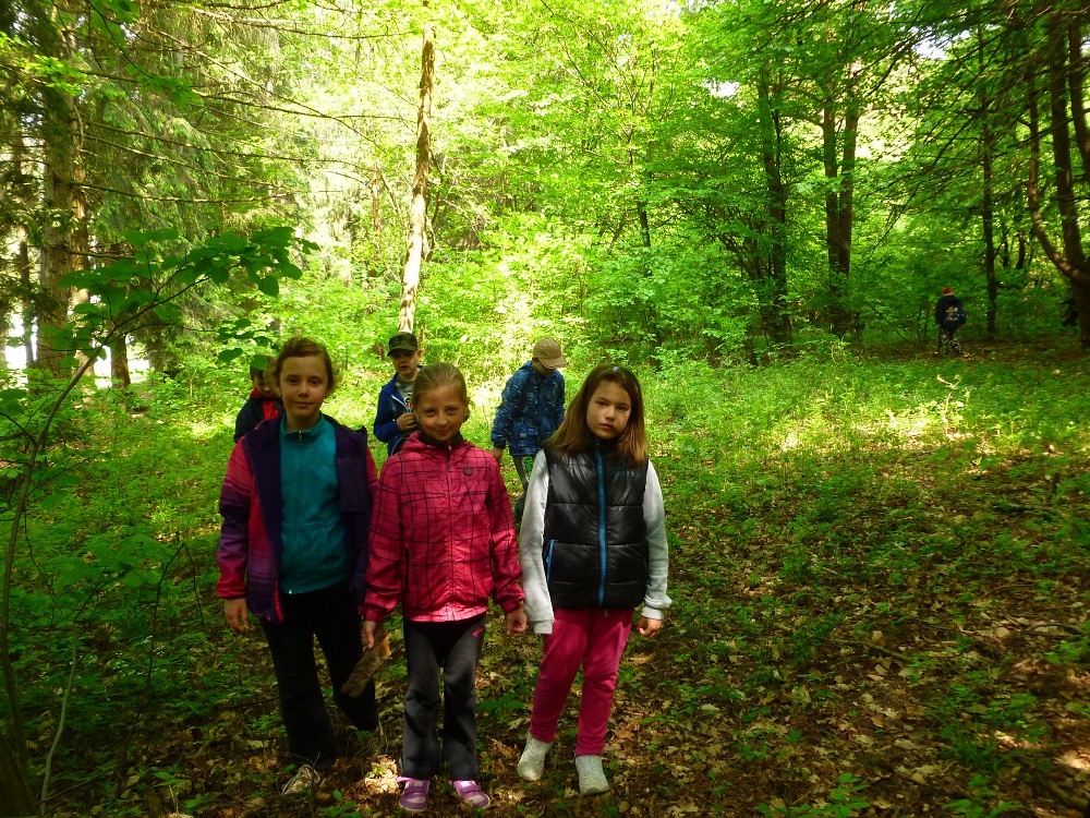 img00050.jpg