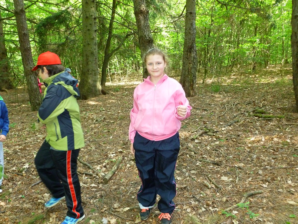 img00051.jpg