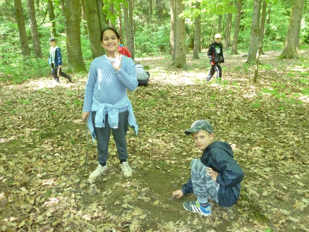 img00057.jpg