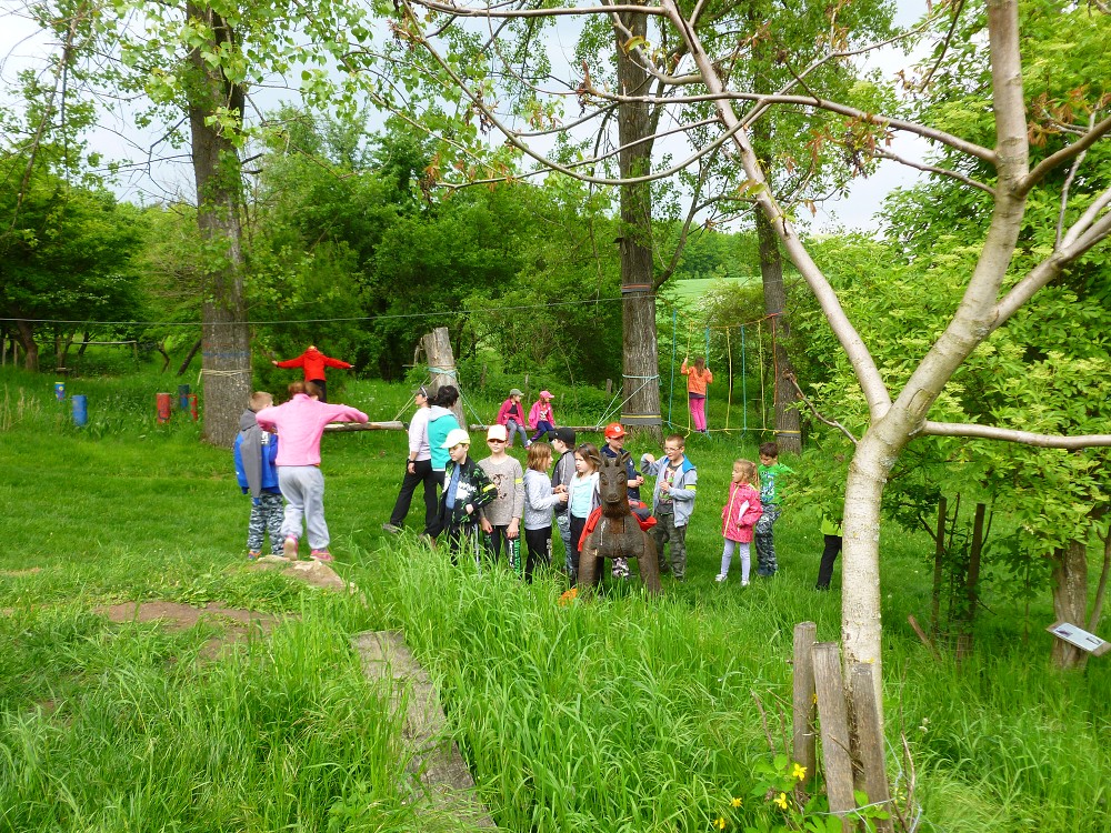img00076.jpg