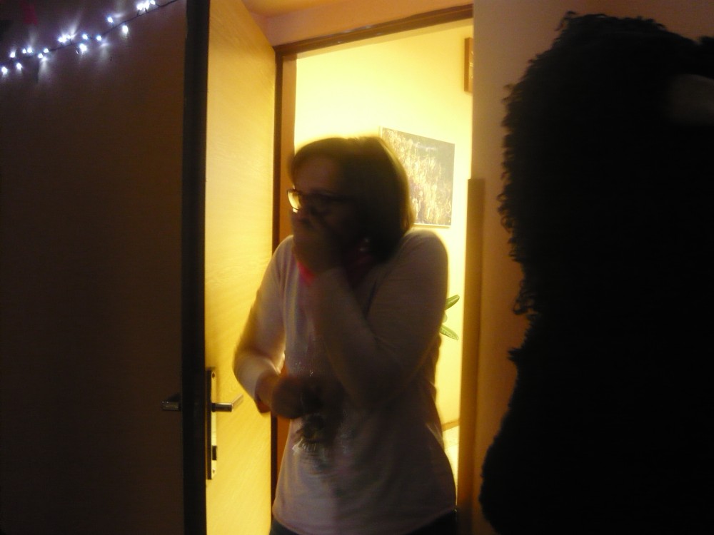 img00091.jpg
