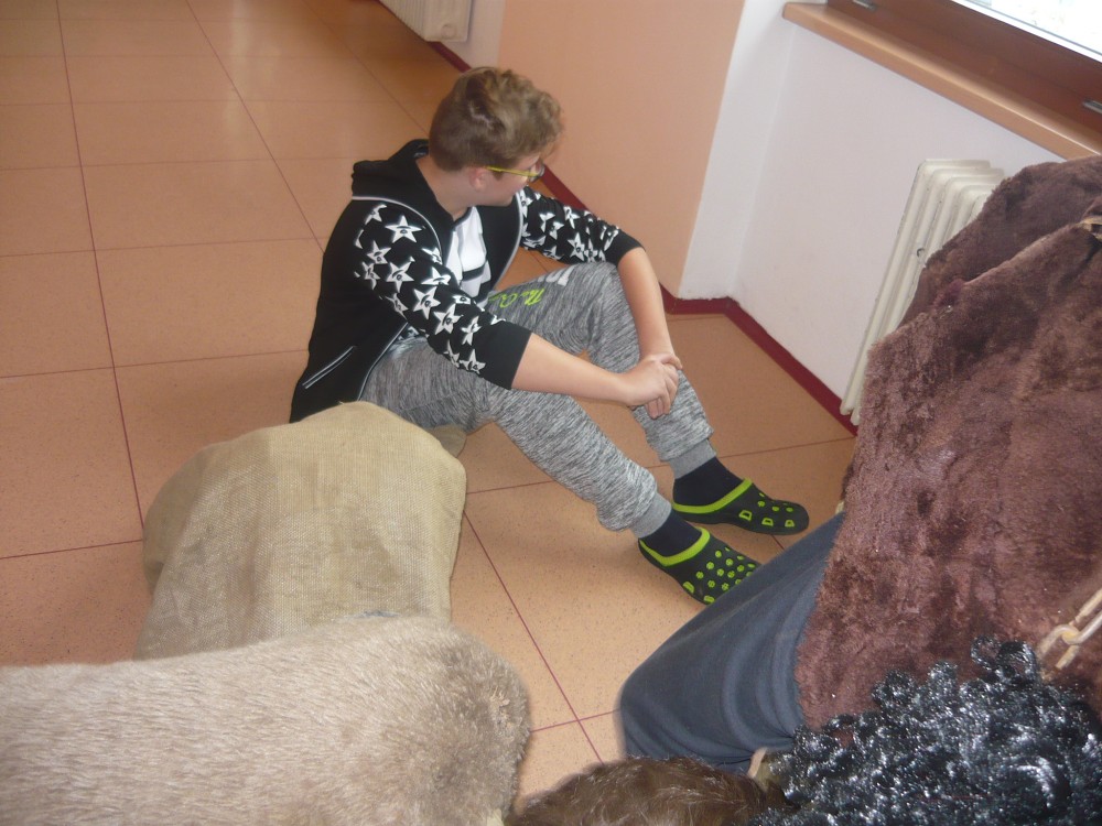 img00140.jpg