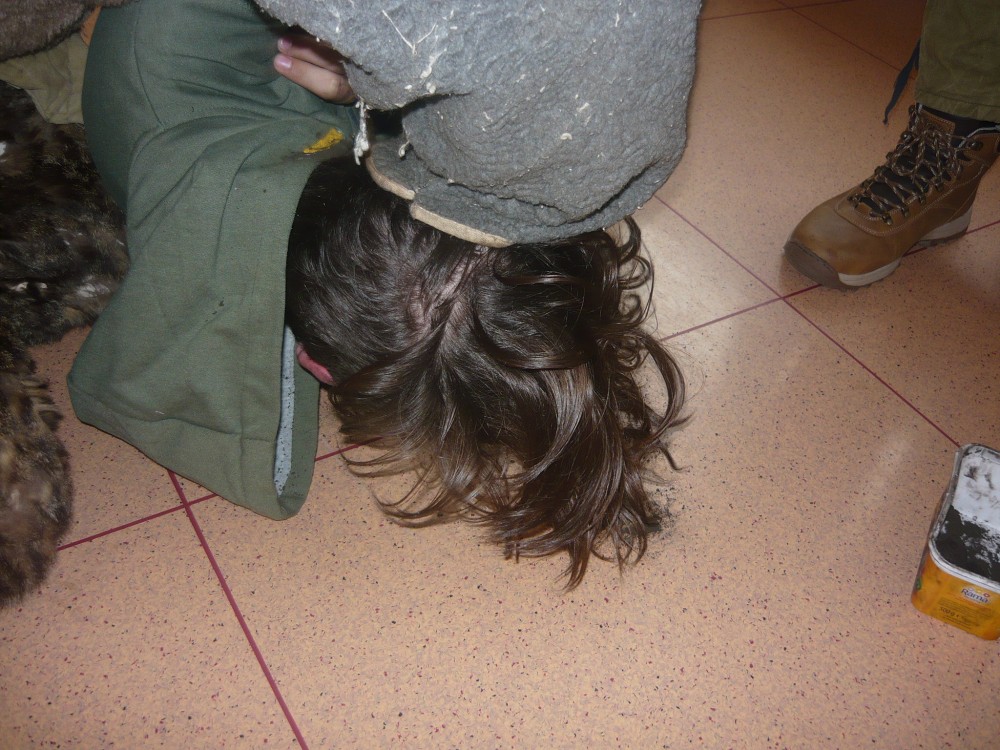 img00141.jpg