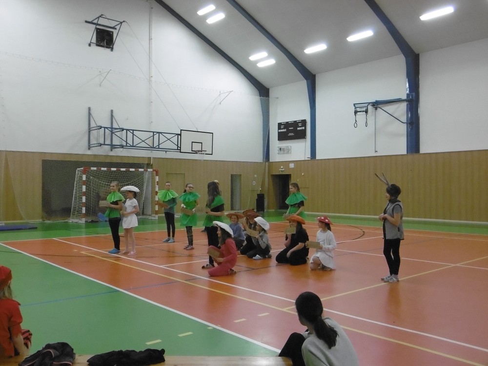 img00136.jpg