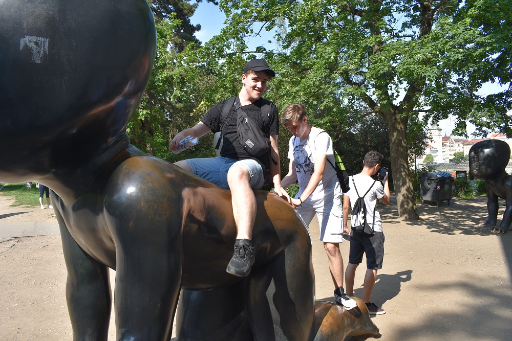 img00037.jpg