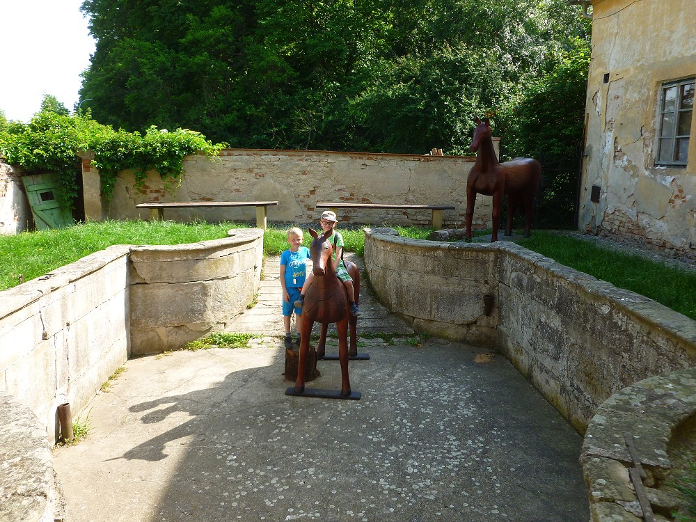 img00062.jpg