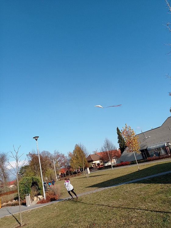img00021.jpg