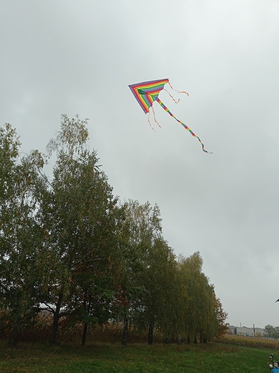 img00033.jpg