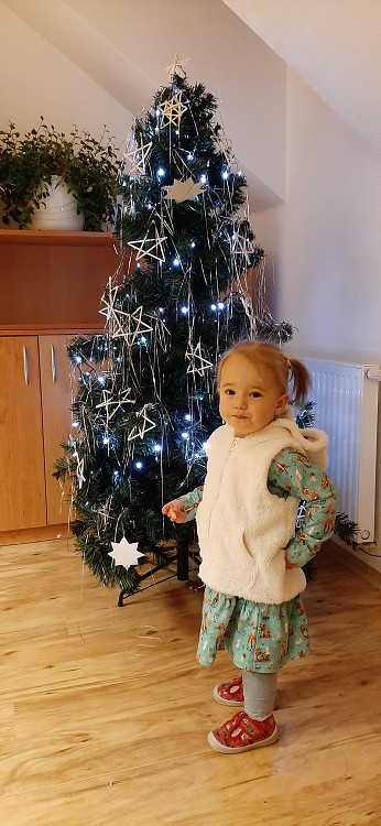 img00075.jpg
