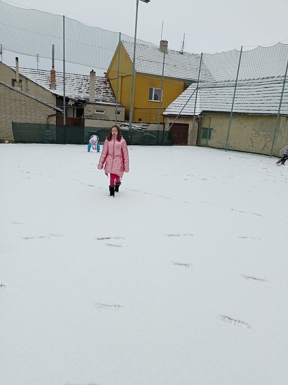 img00040.jpg
