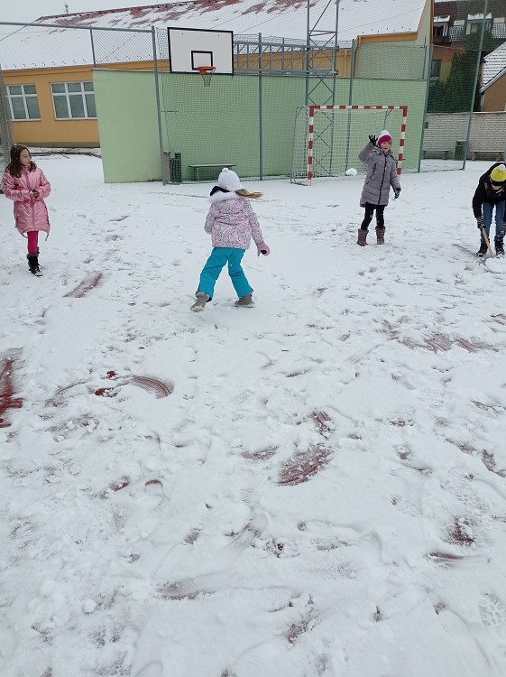 img00045.jpg